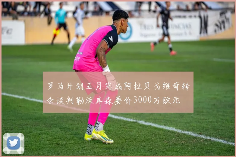 罗马计划五月完成阿拉贝戈维奇转会谈判勒沃库森要价3000万欧元