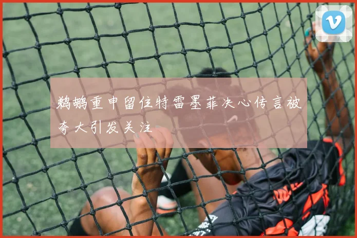 鹈鹕重申留住特雷墨菲决心传言被夸大引发关注