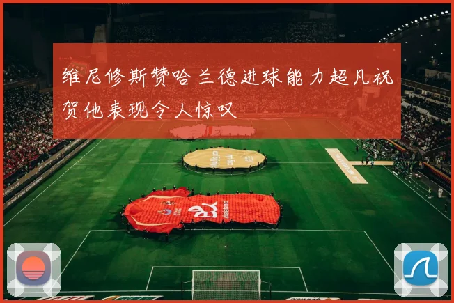 维尼修斯赞哈兰德进球能力超凡祝贺他表现令人惊叹